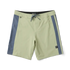 Roark Revival Mens Boardshorts Passage Panel
