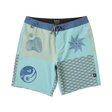Roark Revival Mens Boardshorts Passage