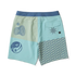 Roark Revival Mens Boardshorts Passage