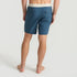 Roark Revival Mens Boardshorts Passage