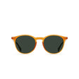 Raen Sunglasses Basq