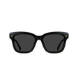 Raen Womens Sunglasses Breya