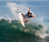 Futures Surfboard Fins Jack Robinson (L)