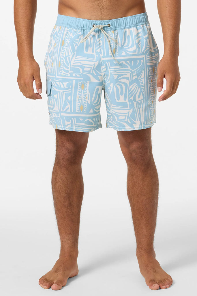 Oneill Mens Boardshorts Hermosa Retro 17