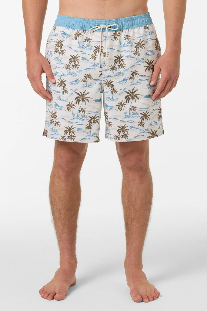 Oneill Mens Boardshorts Hermosa Elastic Waist Lined 17