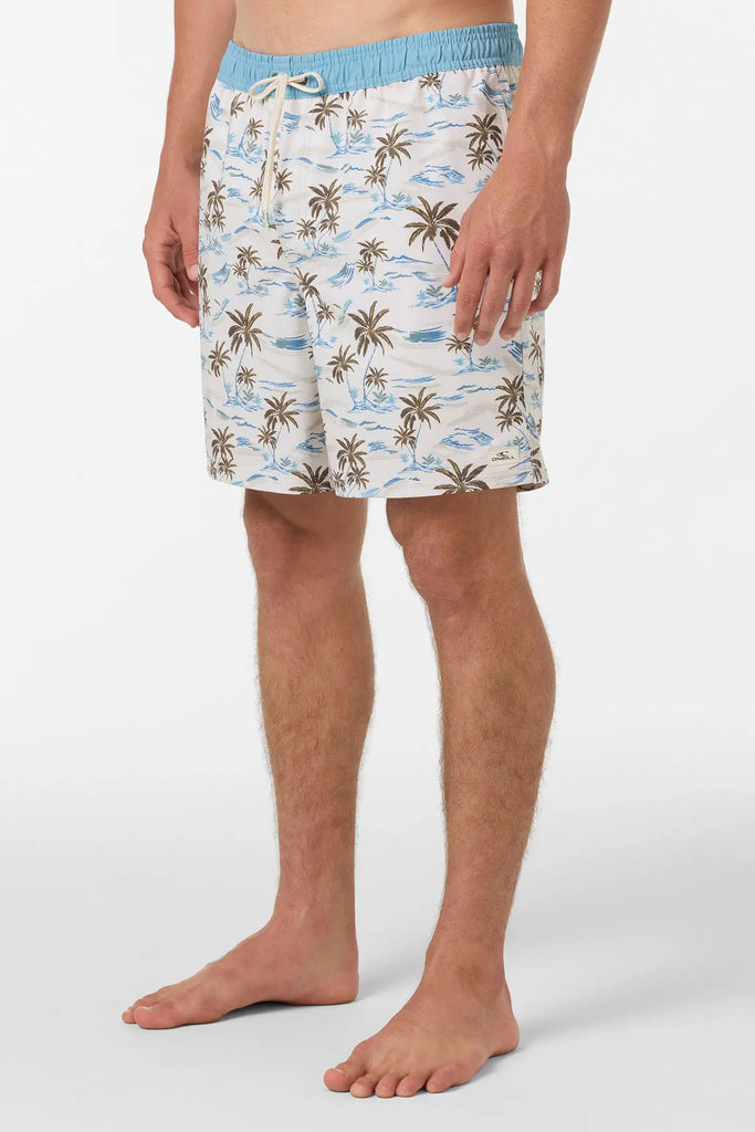 Oneill Mens Boardshorts Hermosa Elastic Waist Lined 17