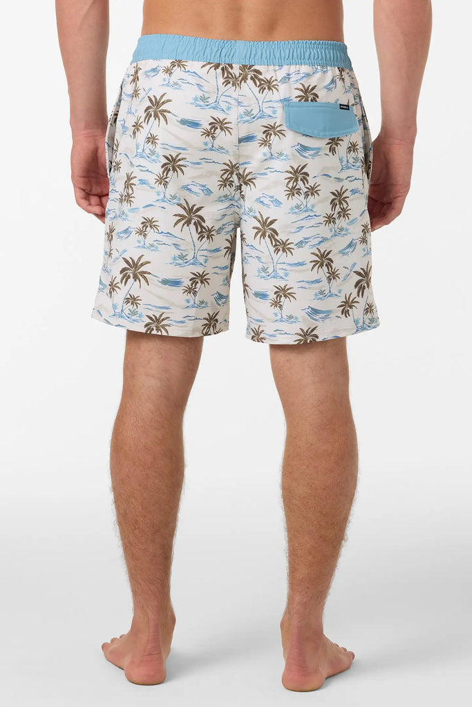 Oneill Mens Boardshorts Hermosa Elastic Waist Lined 17