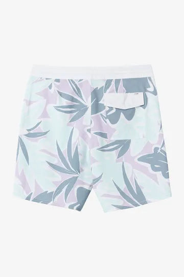 Oneill Mens Boardshorts OG Print Cruzer 18