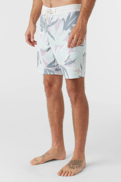 Oneill Mens Boardshorts OG Print Cruzer 18