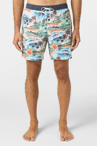 Oneill Mens Boardshorts Hermosa Elastic Waist Lined 17