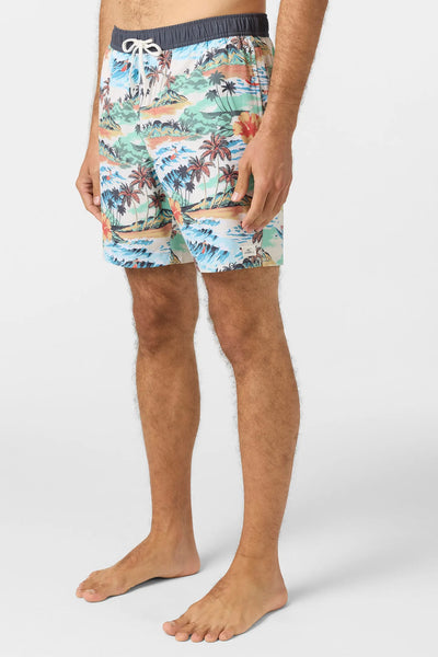 Oneill Mens Boardshorts Hermosa Elastic Waist Lined 17