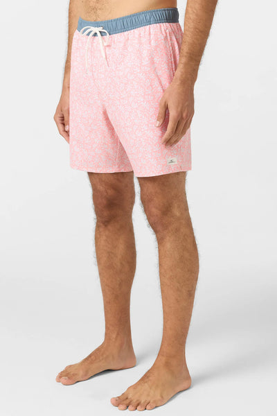 Oneill Mens Boardshorts Hermosa Elastic Waist Lined 17