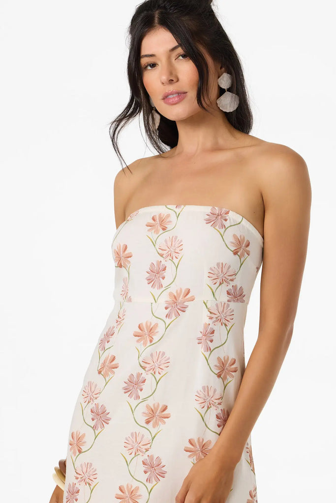 Oneill Womens Dress Cassie Ivy Floral Mini