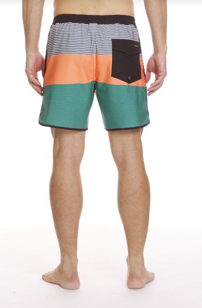 Quiksilver Mens Boardshorts Surfsilk Tijuana Volley 17