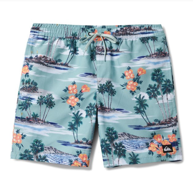 Quiksilver Mens Shorts Everyday Mix Volley 17