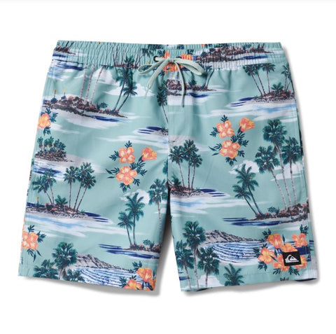 Quiksilver Mens Shorts Everyday Mix Volley 17"