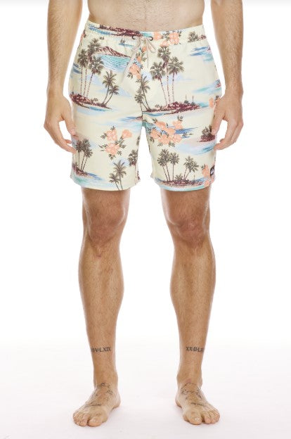Quiksilver Mens Shorts Everyday Mix Volley 17