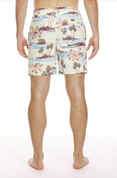 Quiksilver Mens Shorts Everyday Mix Volley 17