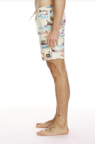 Quiksilver Mens Shorts Everyday Mix Volley 17