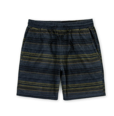 Jetty Mens Shorts Concordia Fleece