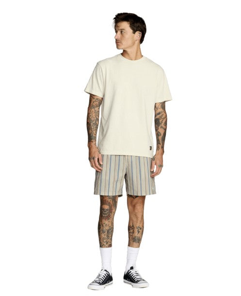 RVCA Mens Shorts Exotica Seersucker Elastic 17