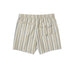 RVCA Mens Shorts Exotica Seersucker Elastic 17