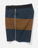 Salty Crew Mens Boardshorts Session 19