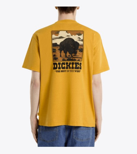 Dickies Mens Shirt Darrtown