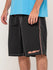 Rusty Mens Boardshorts Flip Daddy