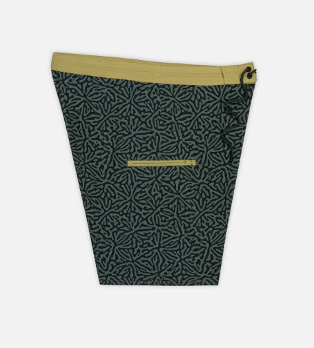 Jetty Mens Boardshorts Holyoke