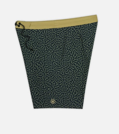 Jetty Mens Boardshorts Holyoke