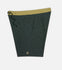Jetty Mens Boardshorts Holyoke