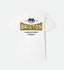 Brixton Mens Shirt Pinnacle