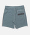Salty Crew Mens Boardshorts Channel