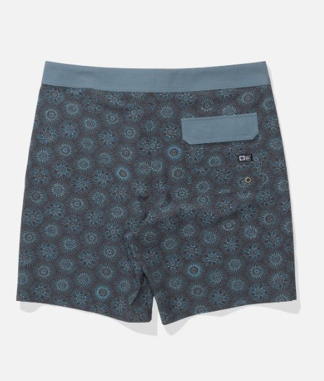 Salty Crew Mens Boardshorts Crew 19
