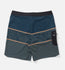 Salty Crew Mens Boardshorts Session 19