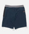 Salty Crew Mens Boardshorts Whaler Flagship 20