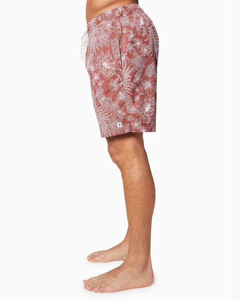 Toes On The Nose Mens Boardshorts Malibu Volley