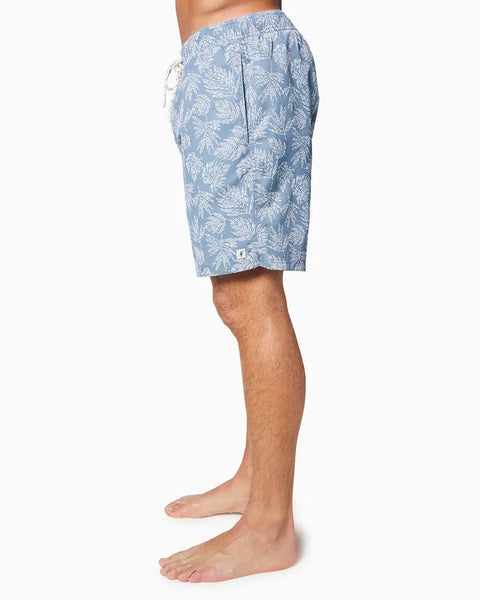 Toes On The Nose Mens Boardshorts Malibu Volley