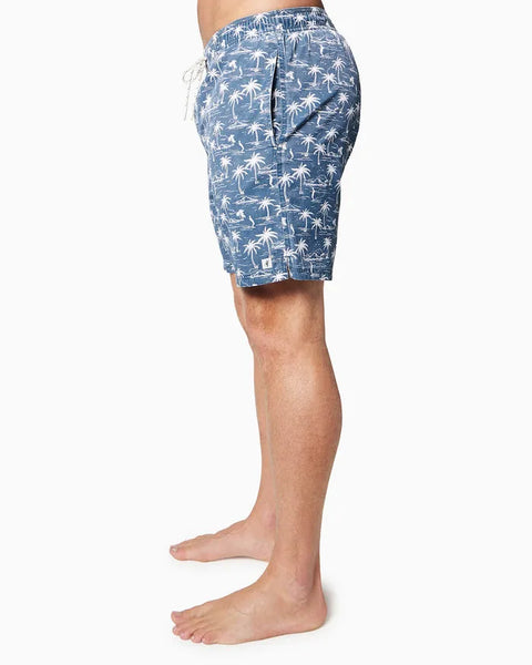 Toes On The Nose Mens Boardshorts Malibu Volley