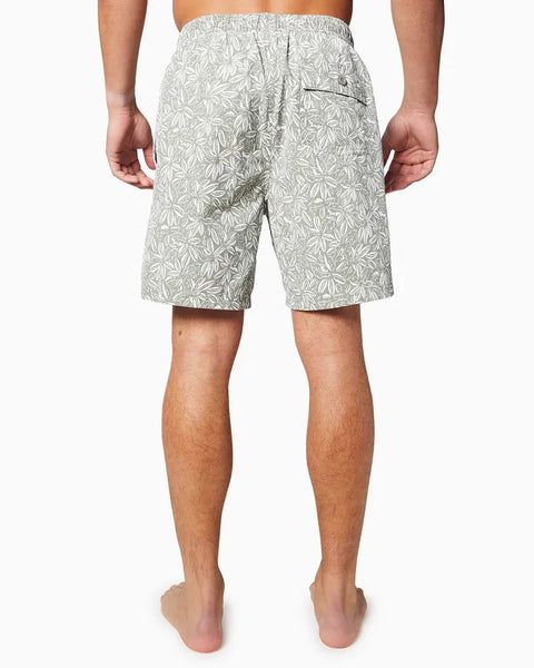 Toes On The Nose Mens Boardshorts Malibu Volley