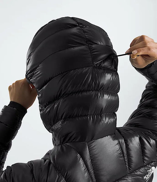 The North Face Womens Snow Jacket Summit Series Breithorn Hoodie