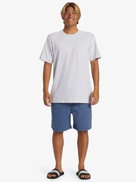 Quiksilver Mens Shorts Taxer