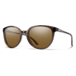 Smith Sunglasses Cheetah