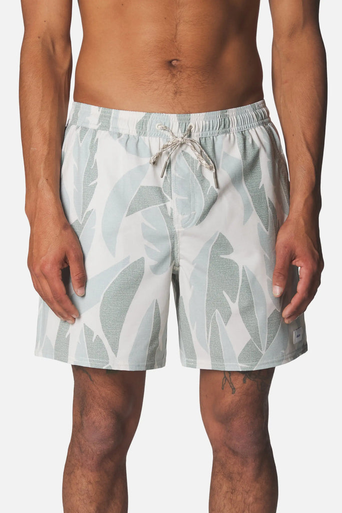 Katin Mens Boardshorts Larry Volley