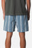 Katin Mens Shorts Cedar Local