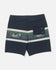 Salty Crew Mens Boardshorts Crew Stripe