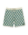 Quiksilver Mens Boardshorts Sun Dial 19