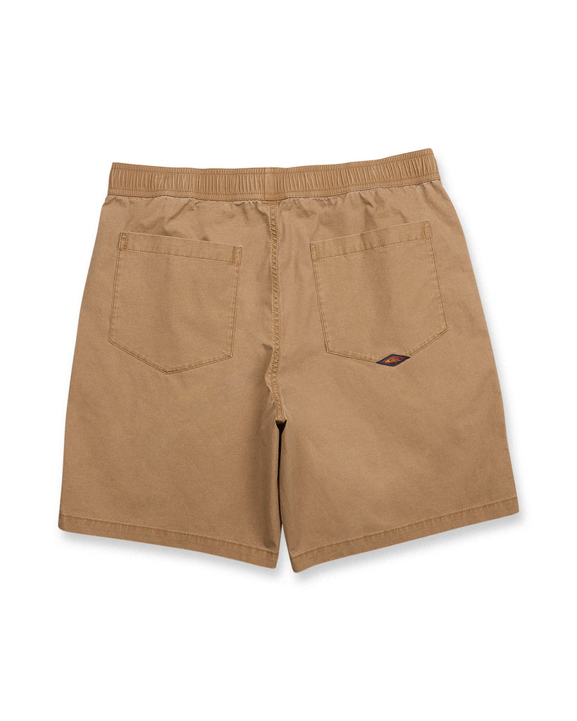 Quiksilver Mens Shorts Saltwater