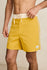 Rhythm Mens Boardshorts Heritage